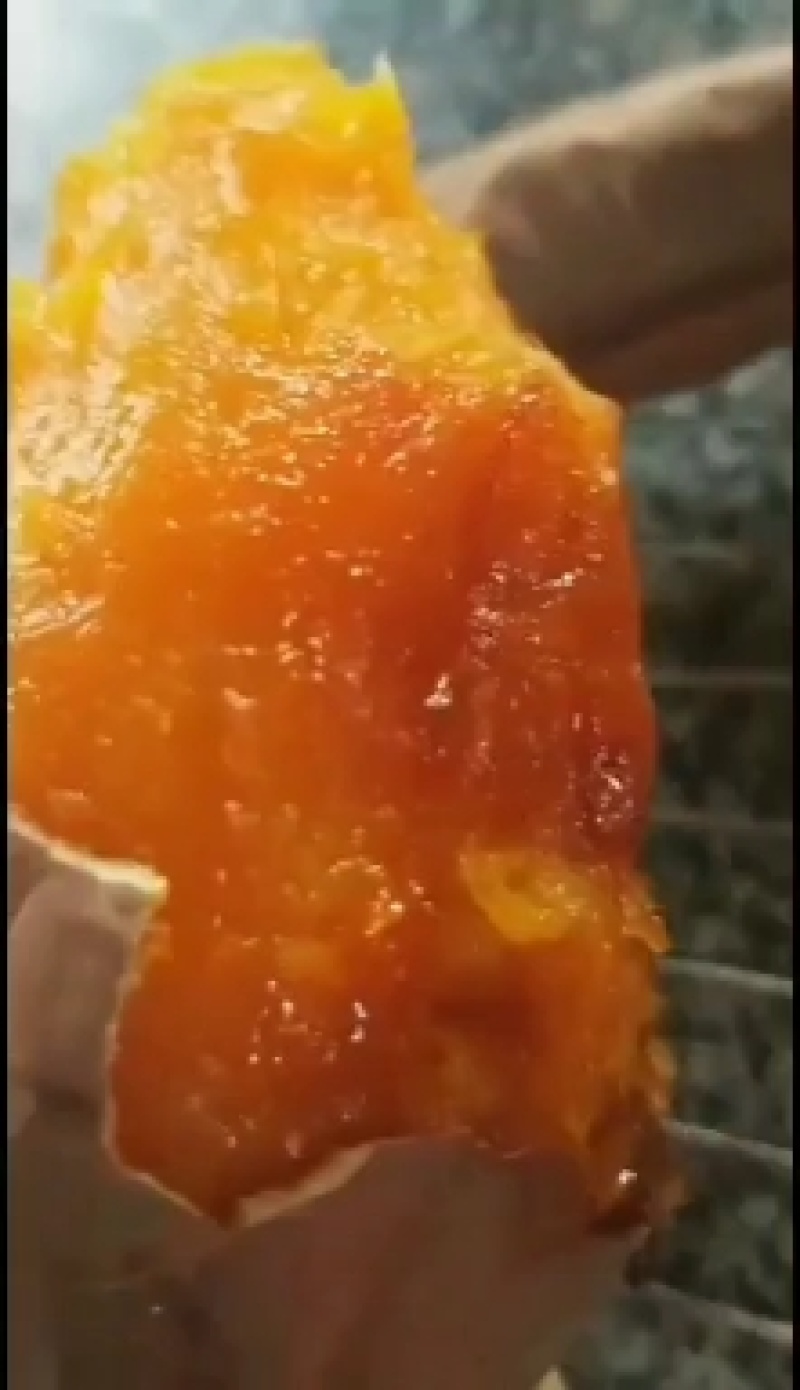 烟蜜薯种薯，品质保证，价格优惠，产地直发，欢迎致电