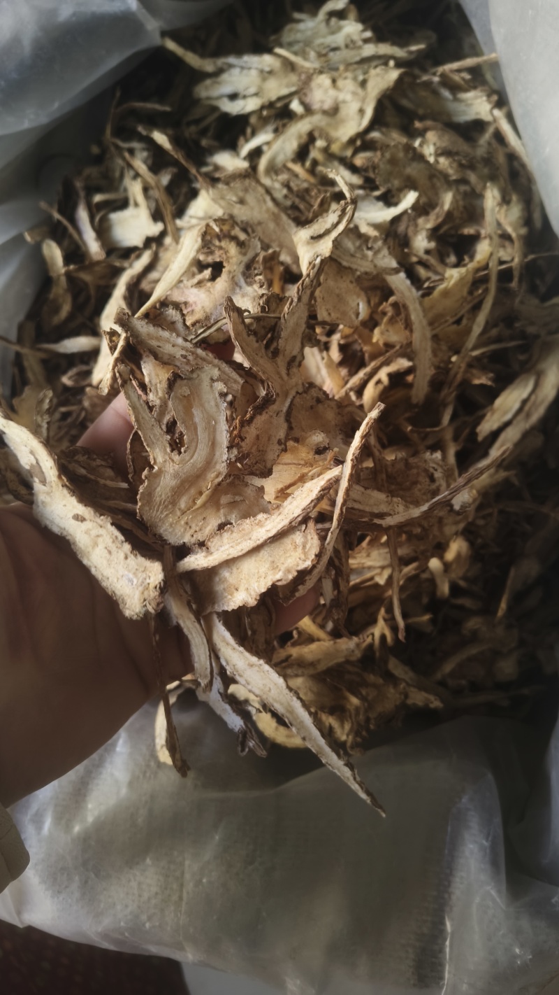 【岷县当归】甘肃岷县一棵树无硫当归一手货源货源充足