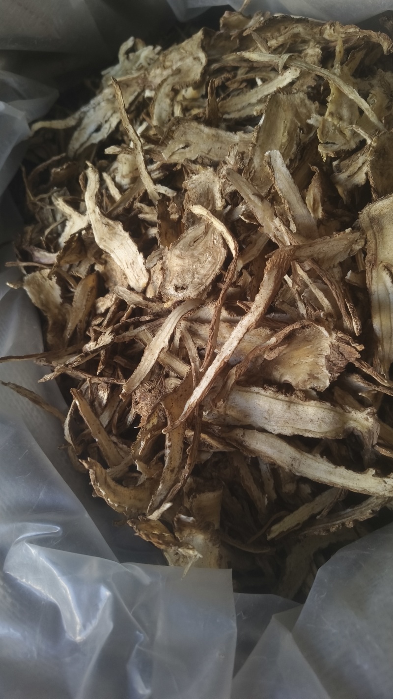 【岷县当归】甘肃岷县一棵树无硫当归一手货源货源充足
