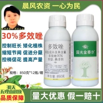 国光金泰尔30%多效唑果树植物花卉矮矮壮素控制生长调节剂
