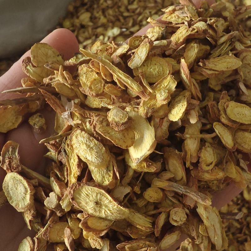 【黄芩片】甘肃货颜色好看片行大过3个筛一手货源
