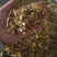 【黄芩片】甘肃货颜色好看片行大过3个筛一手货源