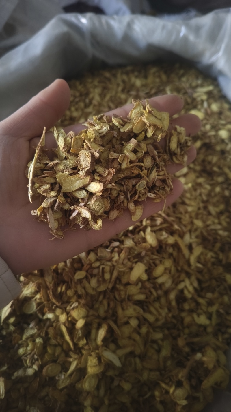 【黄芩片】甘肃货颜色好看片行大过3个筛一手货源