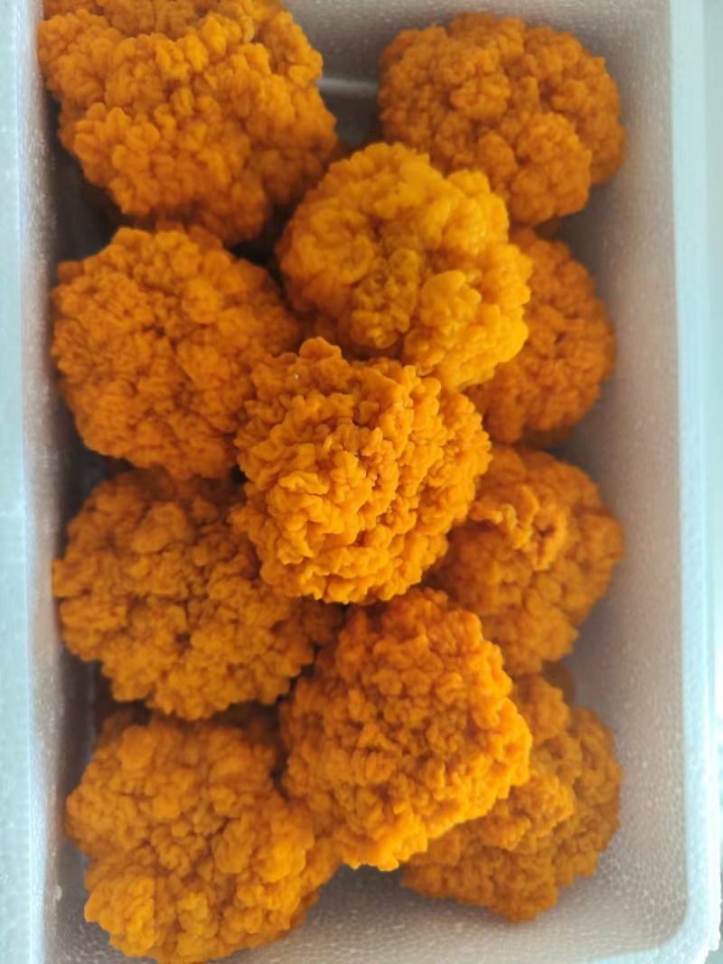 金耳菌优质品质保质保量自家培育干净卫生