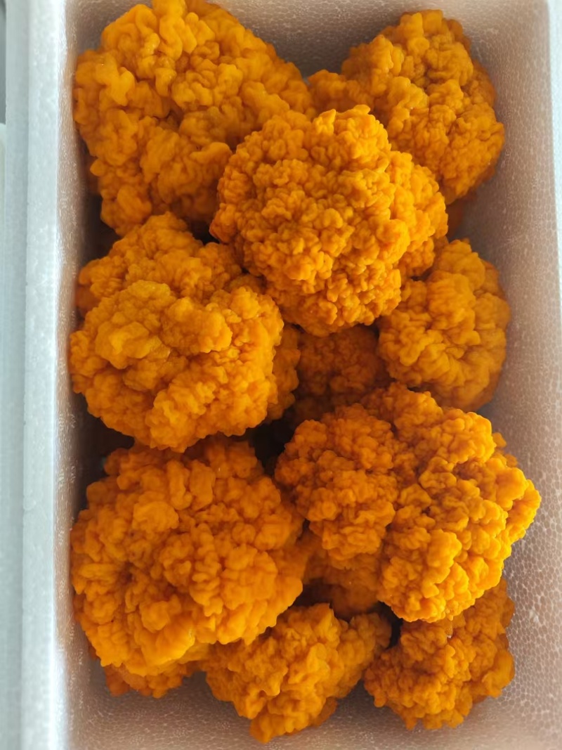 金耳菌优质品质保质保量自家培育干净卫生