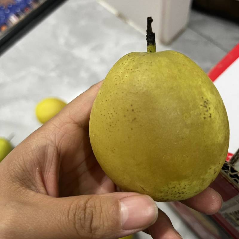 红香酥梨，大量有货