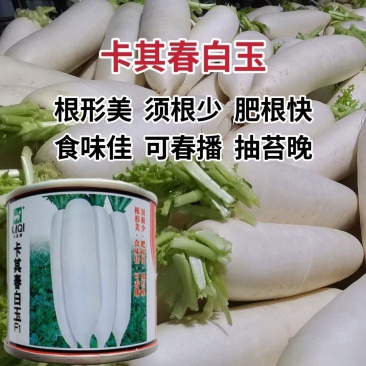 卡其春白玉白萝卜种子脆甜大白萝卜春秋播杂交一代萝卜种
