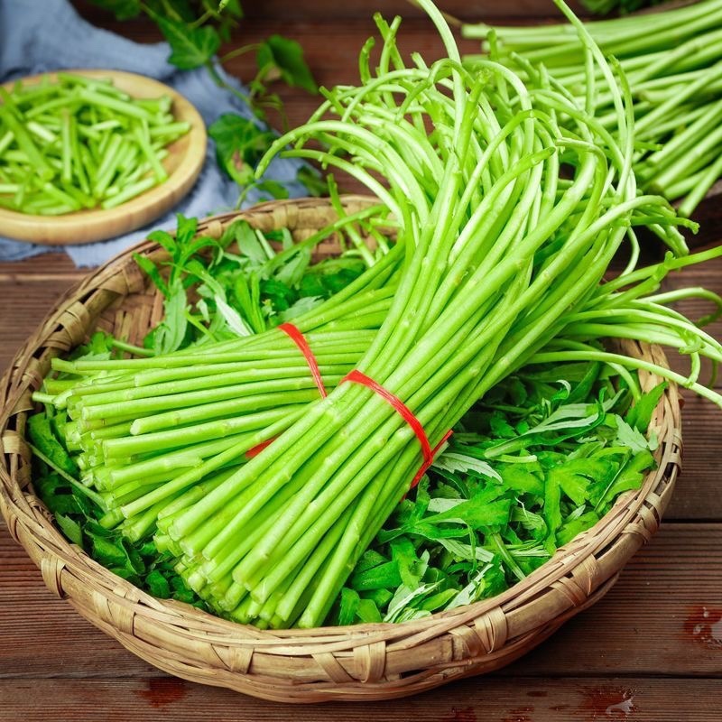 常年供应芦蒿