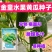 金童水果迷你黄瓜种子光滑无刺脆甜多汁早熟春秋种植