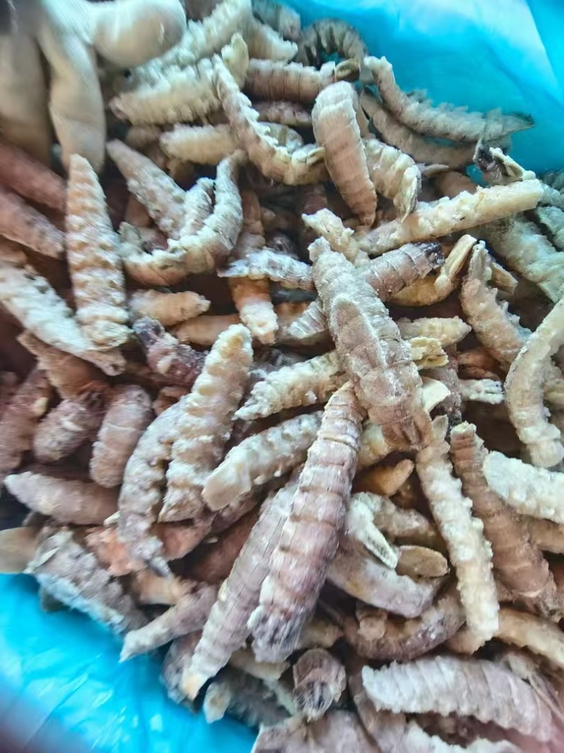 皮皮虾肉