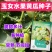 玉女水果迷你黄瓜种子早熟节间短脆甜多汁春秋种植