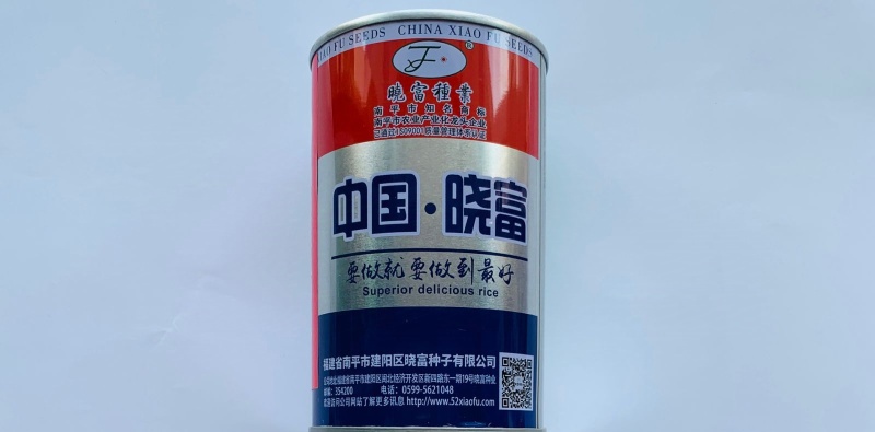 晓富九斤王大萝卜种子白萝卜种子南北方种植大白萝卜种籽