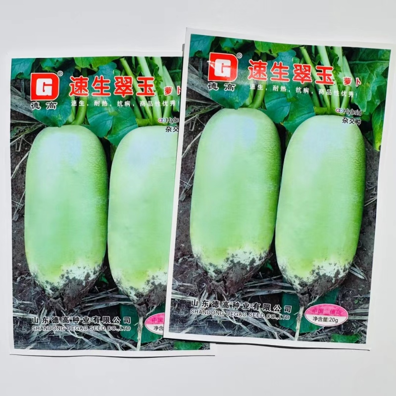 德高速生翠玉萝卜种子抗热耐热抗病青萝卜种子夏