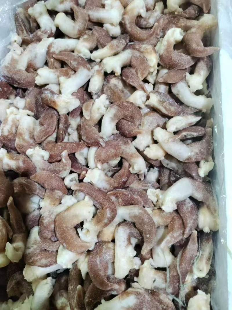 大紫鸟贝肉去内脏无冰无沙刺身鸟贝肉刺身寿司日料食材