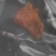 鸡宝