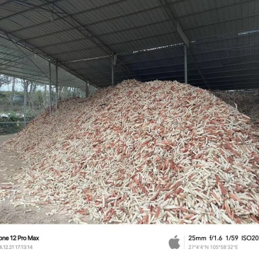 贵州烘干玉米芯颗粒诚信商家，一次成交终身朋友