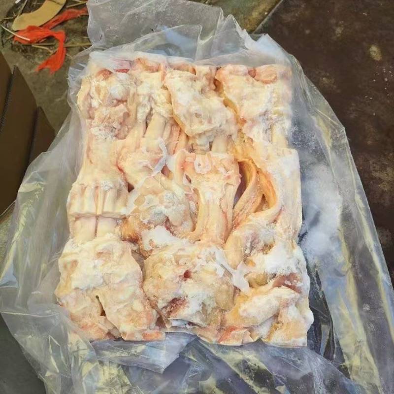 国产纯干牛蹄筋带分层，样品10公斤起发，均为新鲜公牛蹄刮
