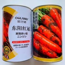 欧兰德东阳红冠胡萝卜种子秋季专用皮肉芯三红胡萝卜种子