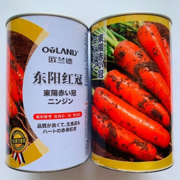 欧兰德东阳红冠胡萝卜种子秋季专用皮肉芯三红胡萝卜种子