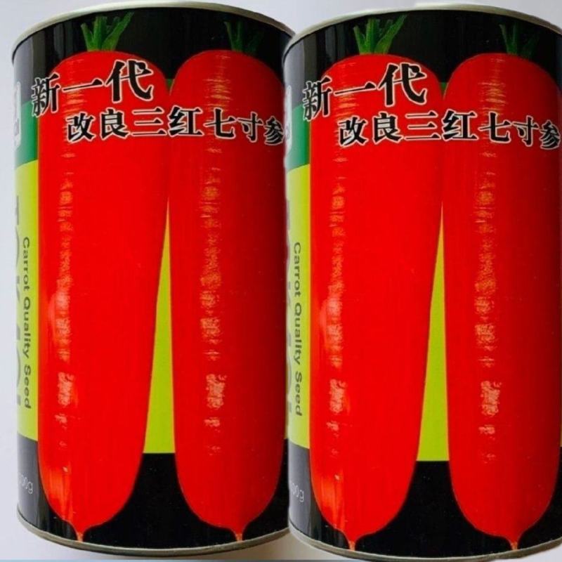 卡其新一代改良三红七寸参胡萝卜种子红心红色胡萝卜籽耐热基
