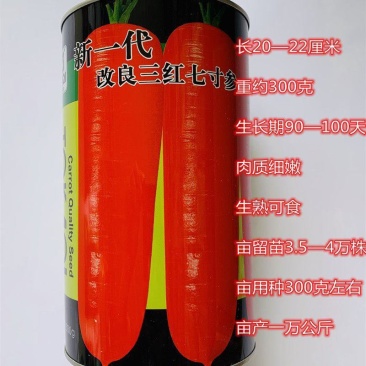 卡其新一代改良三红七寸参胡萝卜种子红心红色胡萝卜籽耐热基
