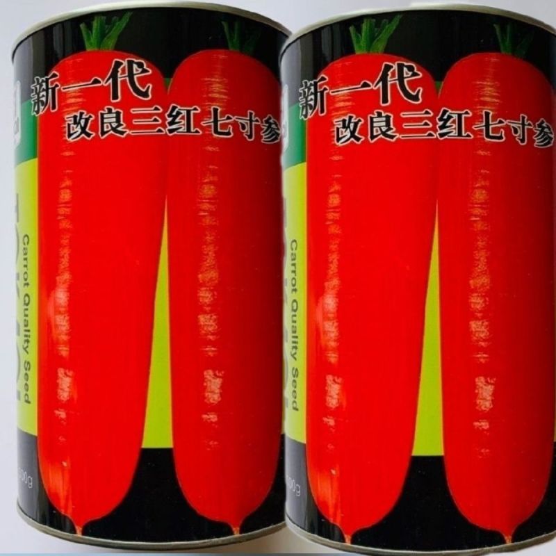 卡其新一代改良三红七寸参胡萝卜种子红心红色胡萝卜籽耐热基
