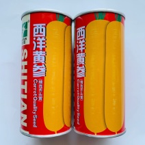 西洋黄参西欧引进精选齐头黄胡萝卜种子黄皮米黄色胡萝卜