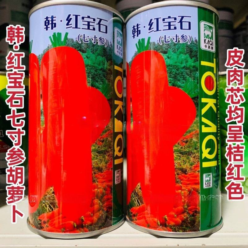 皮肉芯桔红胡萝卜种籽红宝石七寸参胡萝卜种子南北方红萝卜种