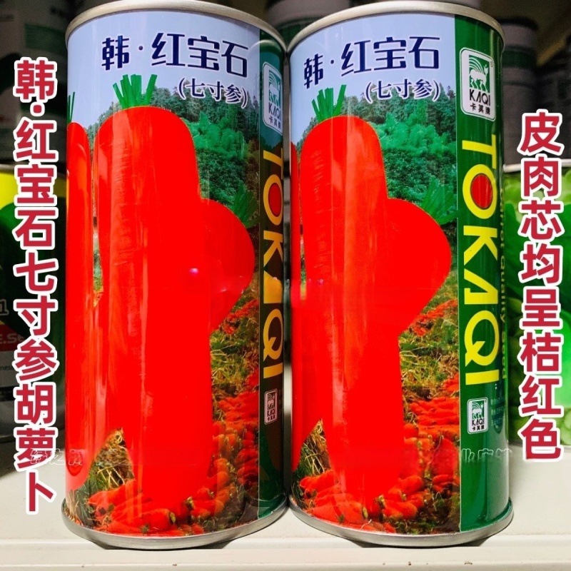 皮肉芯桔红胡萝卜种籽红宝石七寸参胡萝卜种子南北方红萝卜种