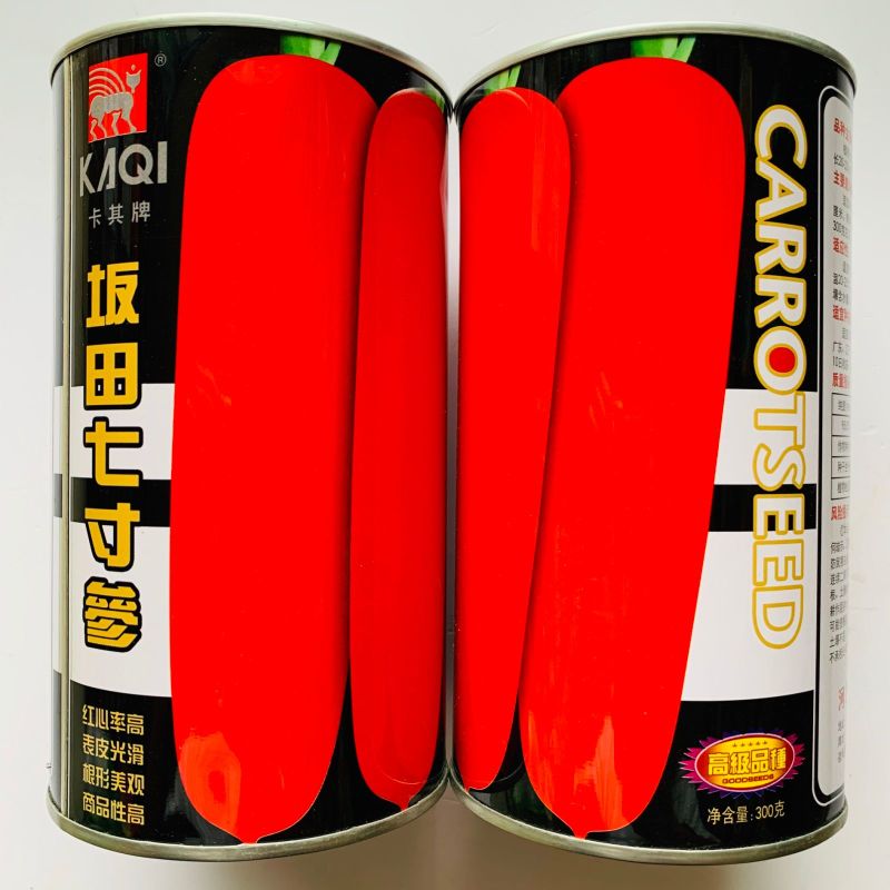 坂田七寸参三红胡萝卜种子着色膨大快胡萝卜种红心率高表