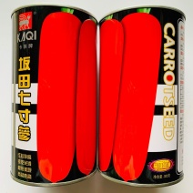 坂田七寸参三红胡萝卜种子着色膨大快胡萝卜种红心率高表