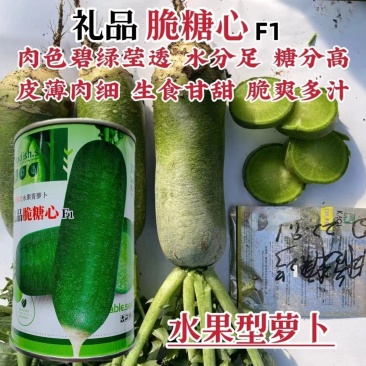 礼品脆糖心萝卜种子糖分高水分足基地专用秋季青萝卜种子