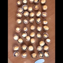 夏威夷果一件代发量大优惠