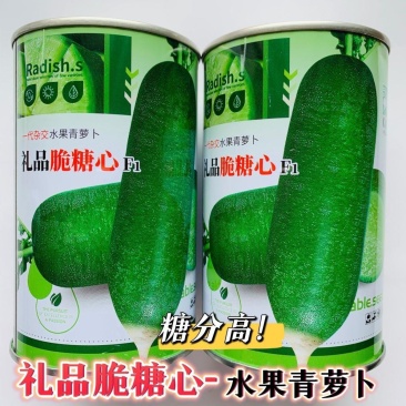 礼品脆糖心萝卜种子糖分高水分足基地专用秋季青萝卜种子