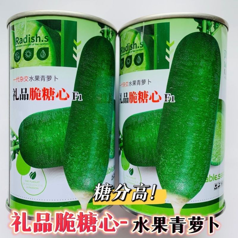 礼品脆糖心萝卜种子糖分高水分足基地专用秋季青萝卜种子