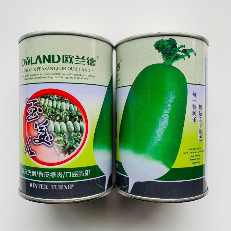 欧兰德玉美人萝卜种子青皮绿肉萝卜种籽脆甜青萝卜种子秋萝卜
