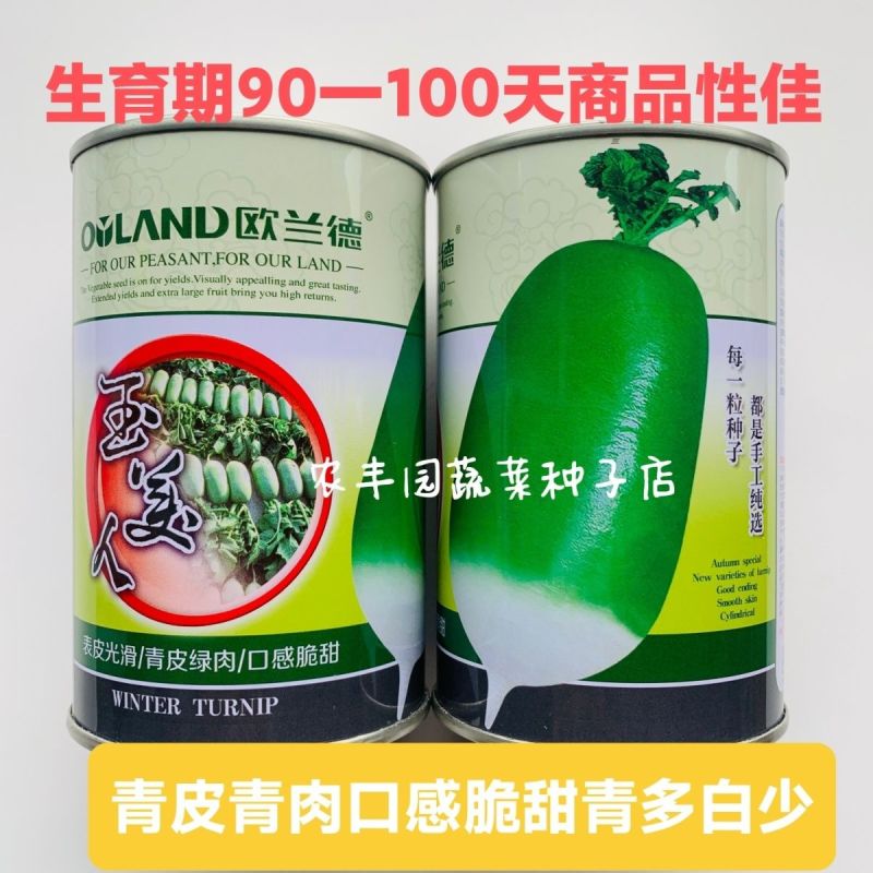 欧兰德玉美人萝卜种子青皮绿肉萝卜种籽脆甜青萝卜种子秋萝卜