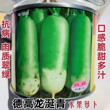 德高龙涎青萝卜种子抗病高产肉质翠绿脆甜多汁青皮萝卜种子