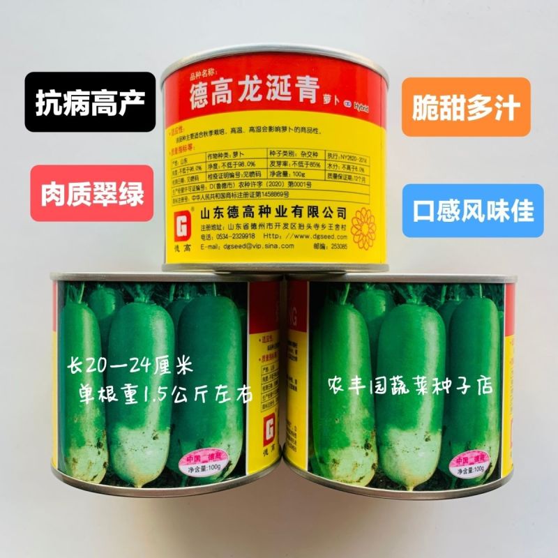 德高龙涎青萝卜种子抗病高产肉质翠绿脆甜多汁青皮萝卜种子