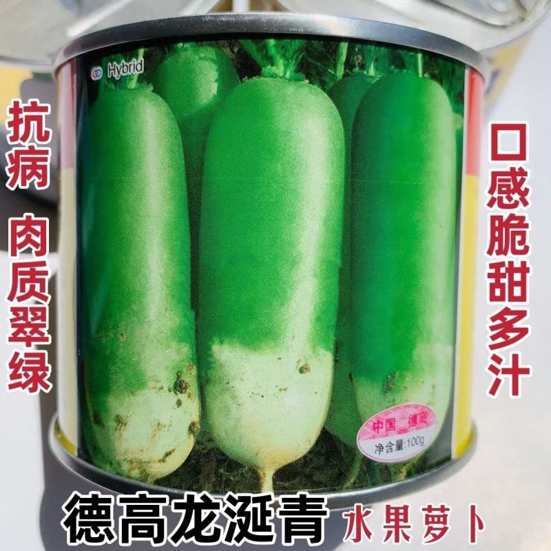 德高龙涎青萝卜种子抗病高产肉质翠绿脆甜多汁青皮萝卜种子