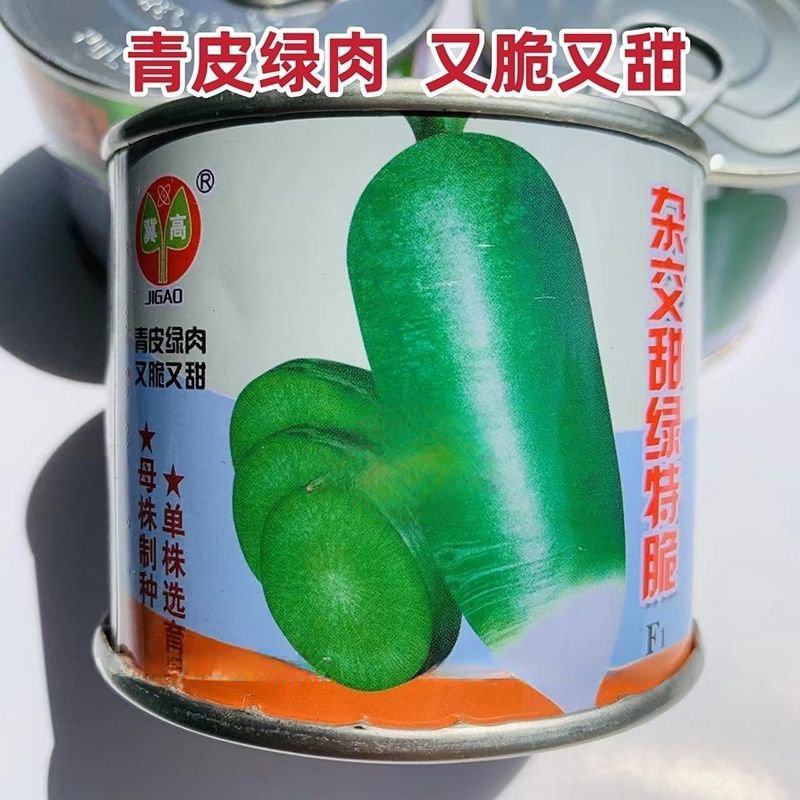 一代杂交甜绿特脆萝卜种子生吃甜脆青皮绿肉青萝卜种子