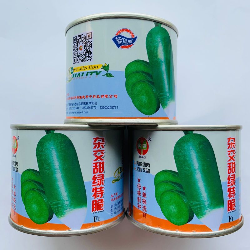 一代杂交甜绿特脆萝卜种子生吃甜脆青皮绿肉青萝卜种子