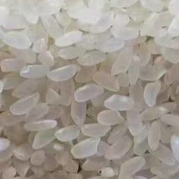 东北珍珠米