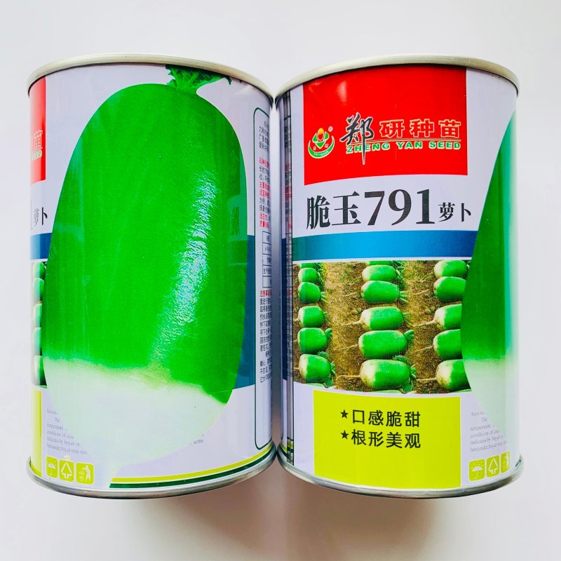 郑研种苗脆玉791萝卜种子罐萝卜种籽秋季蔬菜口感脆甜青萝