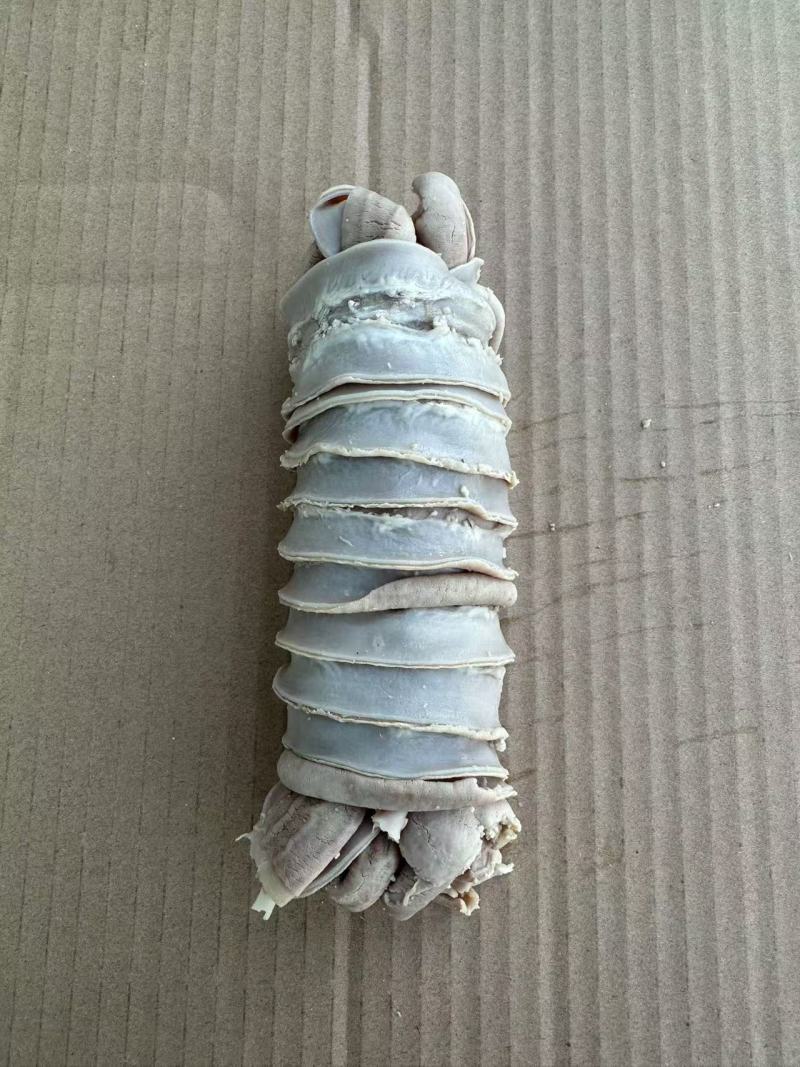 捆肠盘肠牛肠精修去油