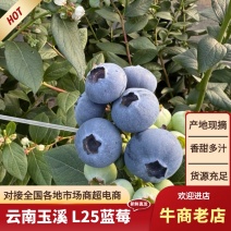 L25花香蓝莓承接一件代发对接电商生鲜平台社区团购直播带货