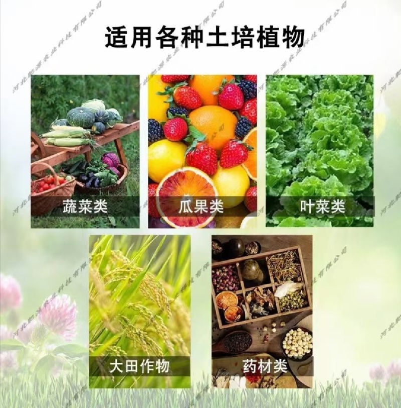大量元素水溶肥高氮高磷高钾平衡全水溶膨果肥冲施肥生产厂家