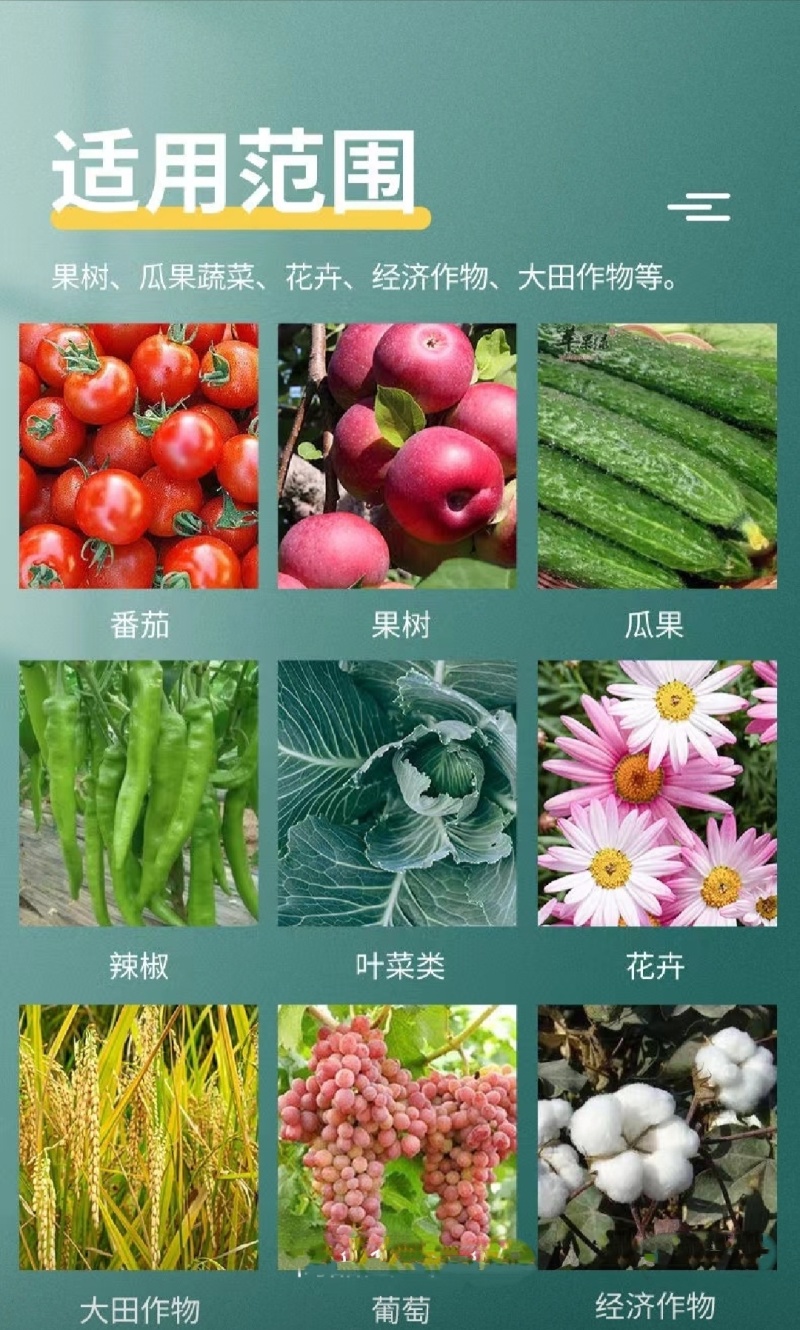 大量元素水溶肥高氮高磷高钾平衡全水溶膨果肥冲施肥生产厂家