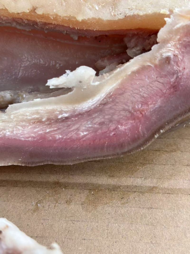 。牛脸筋牛脸皮烧烤炝拌