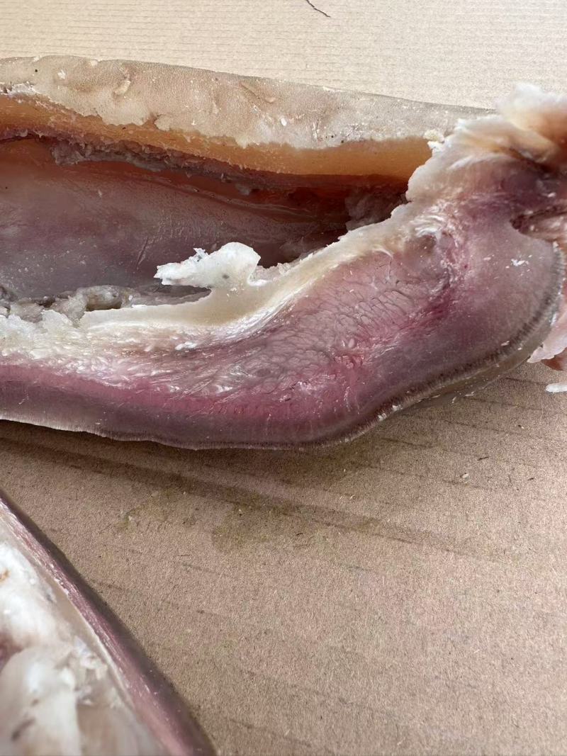 。牛脸筋牛脸皮烧烤炝拌
